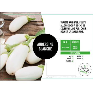 Aubergine blanche