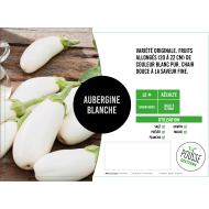 Aubergine blanche