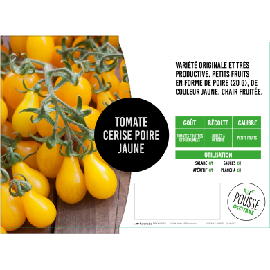 Tomate cerise poire jaune