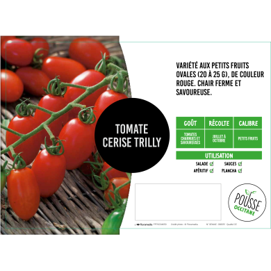 Tomate cerise Trilly