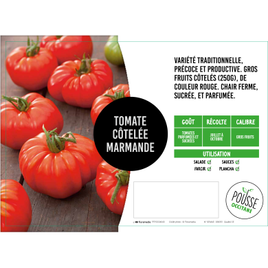 Tomate Marmande