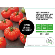 Tomate Marmande