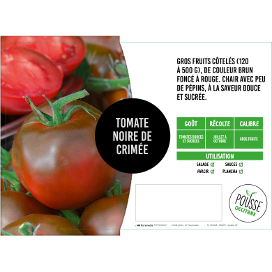 Tomate Noire de Crimée