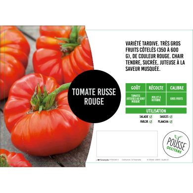 Tomate Russe Rouge