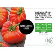 Tomate Russe Rouge