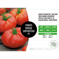 Tomate Supersteack