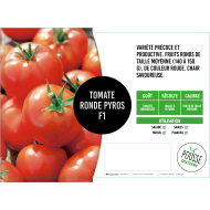 Tomate Pyros
