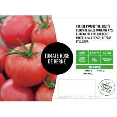 Tomate Rose de Bernes