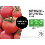 Tomate Rose de Bernes