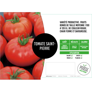 Tomate Saint-Pierre