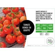 Tomate Premio