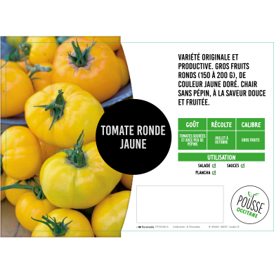 Tomate Lemon boy