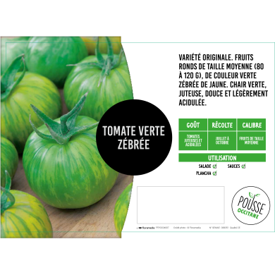 Tomate Green zebra (verte zébrée)