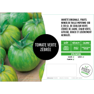 Tomate Green zebra (verte zébrée)