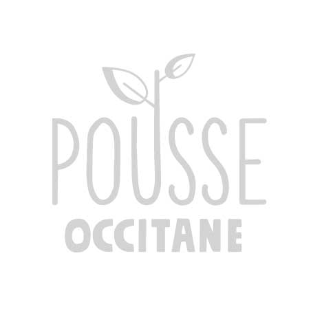 Aubergine asiatique violette